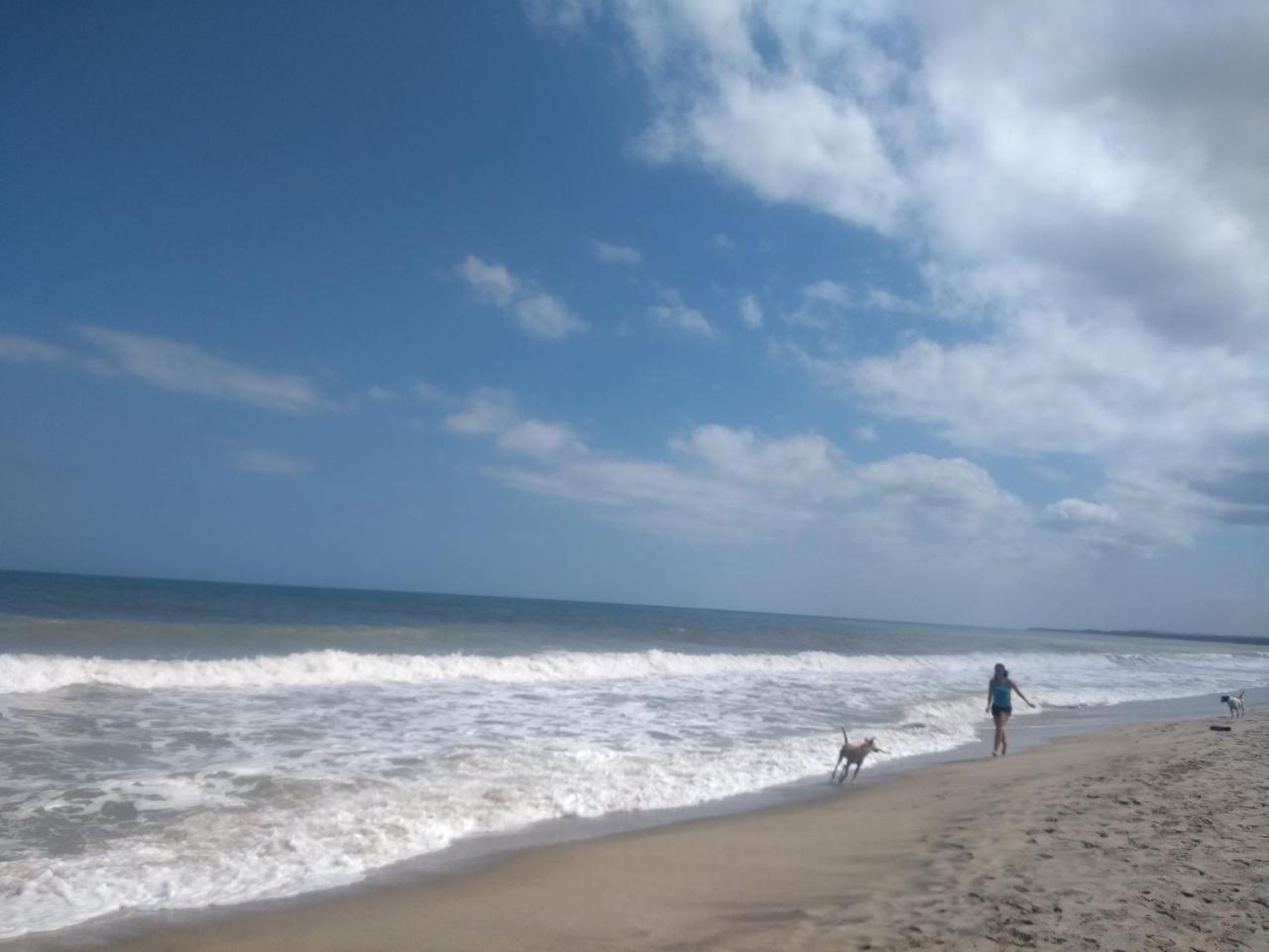 Palomino- Hostel Balneario Rio Ancho 外观 照片